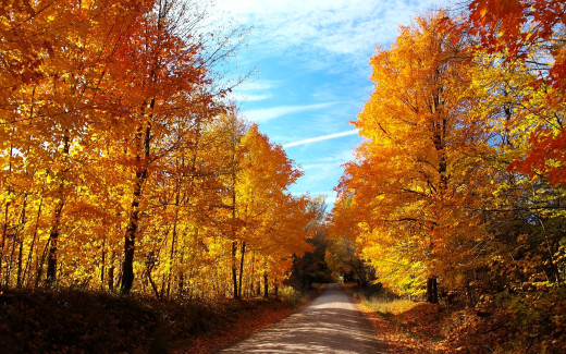 1755754 (a): :1920x1200